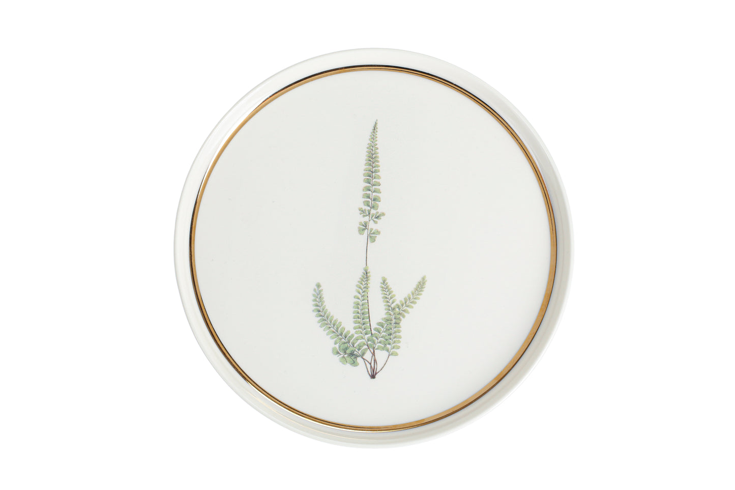 Botanical Flat Plate - Verdant Fern