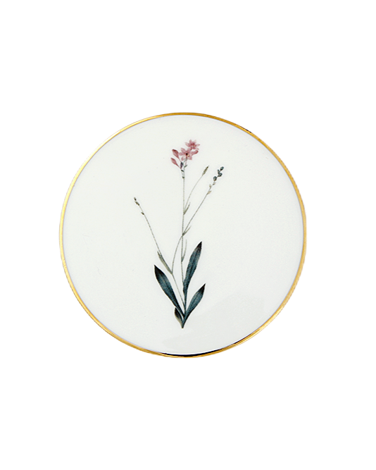 Botanical - Coasters (set of 6)