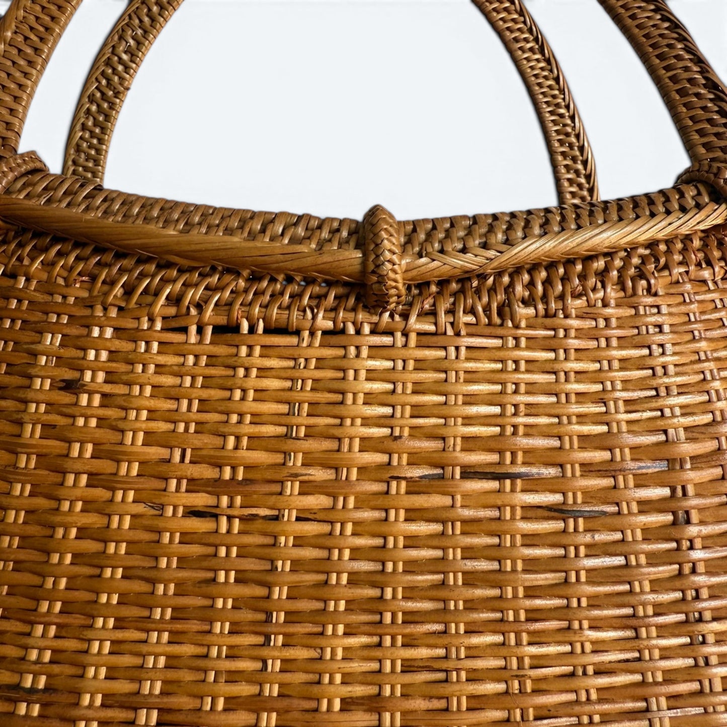 Aurelia Raffia Tote