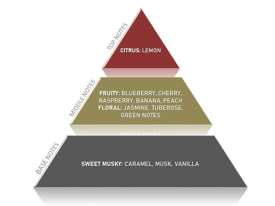 Blueberry Muffin - Medium Size Natural Candle