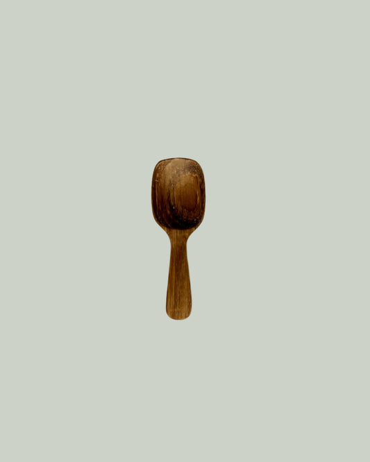 Teak Wood Condiment Spoon