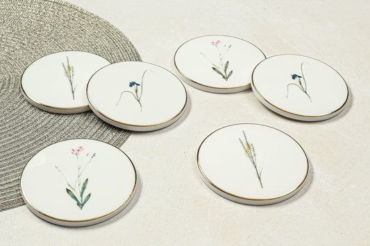 Botanical - Coasters (set of 6)