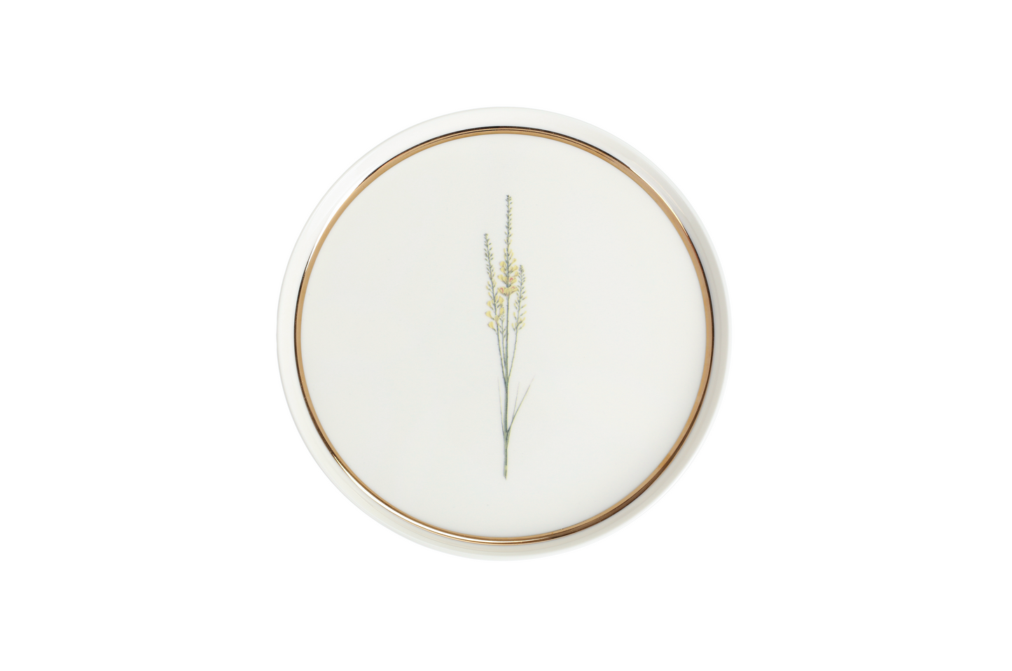 Botanical Flat Plate - Golden Wildflower