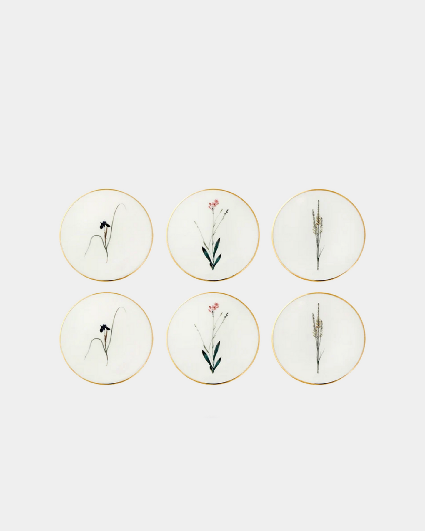 Botanical - Coasters (set of 6)