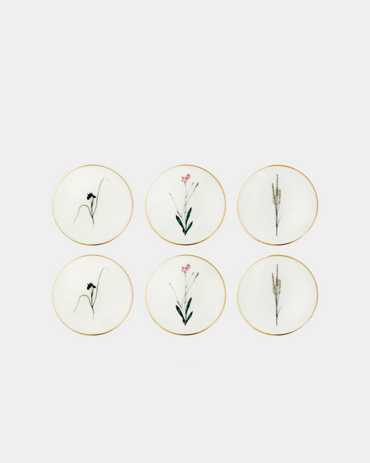 Botanical - Coasters (set of 6)
