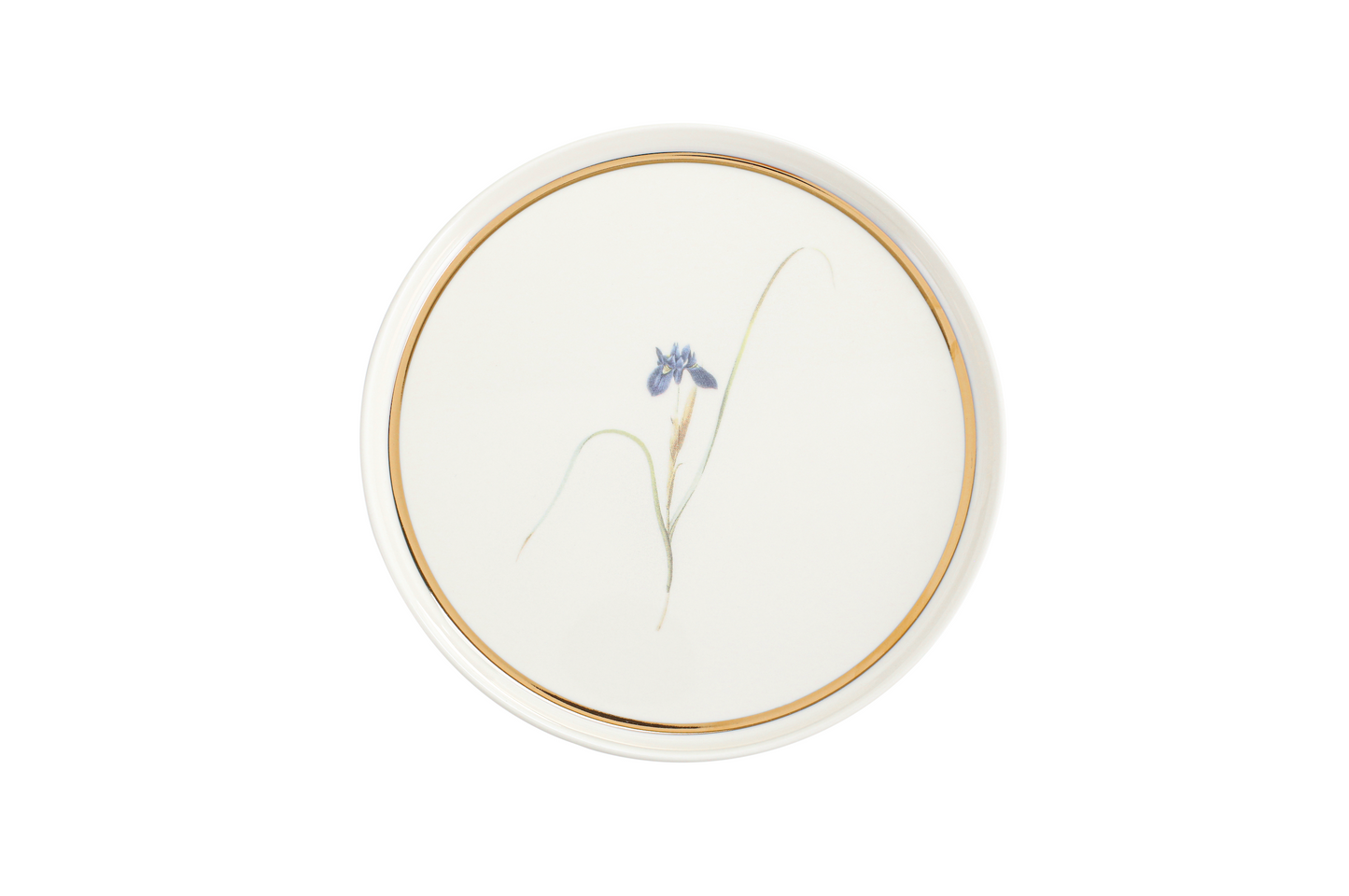 Botanical Flat Plate - Blue Iris
