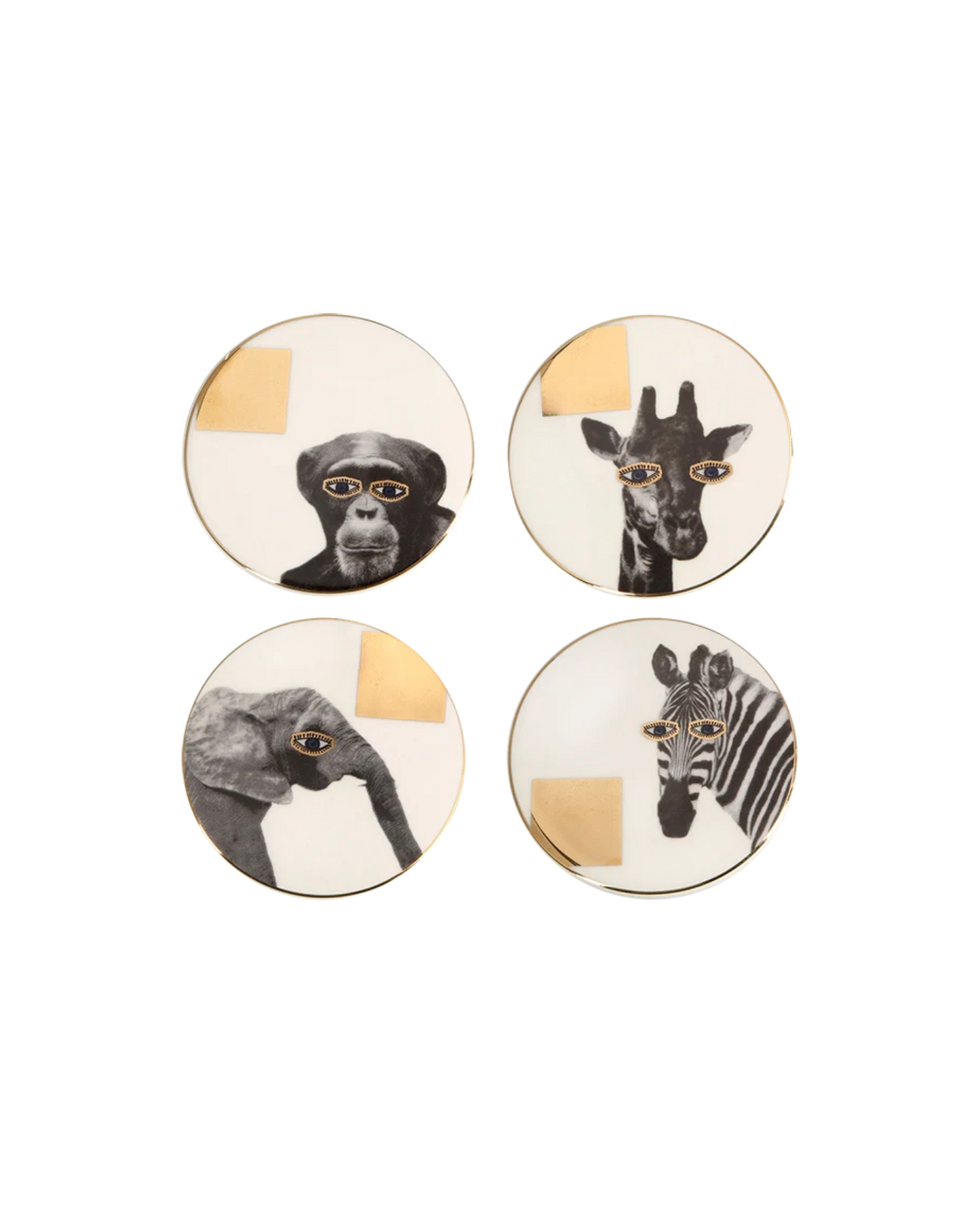 Wild Life Coasters - Set of 4