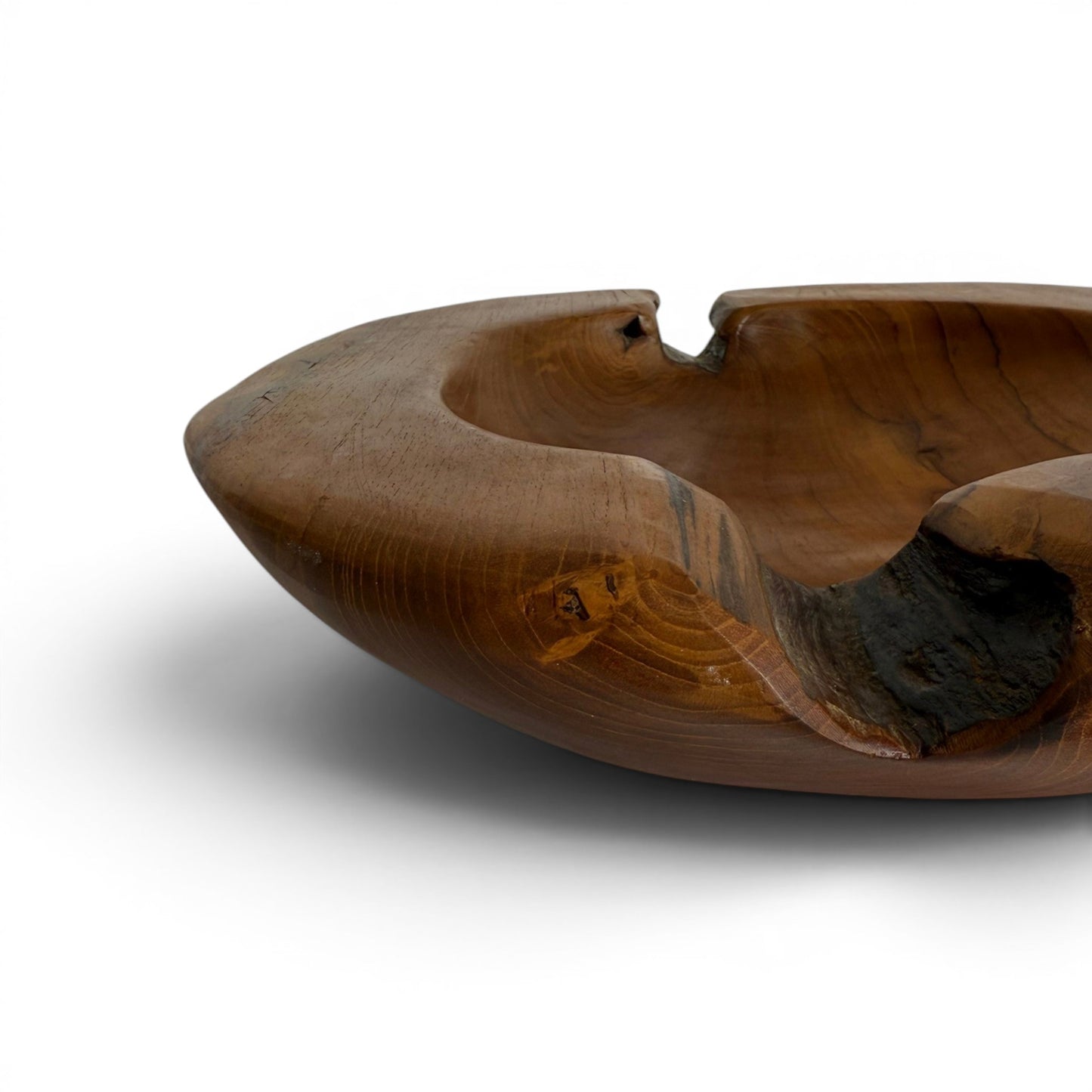 Teak Root Centerpiece