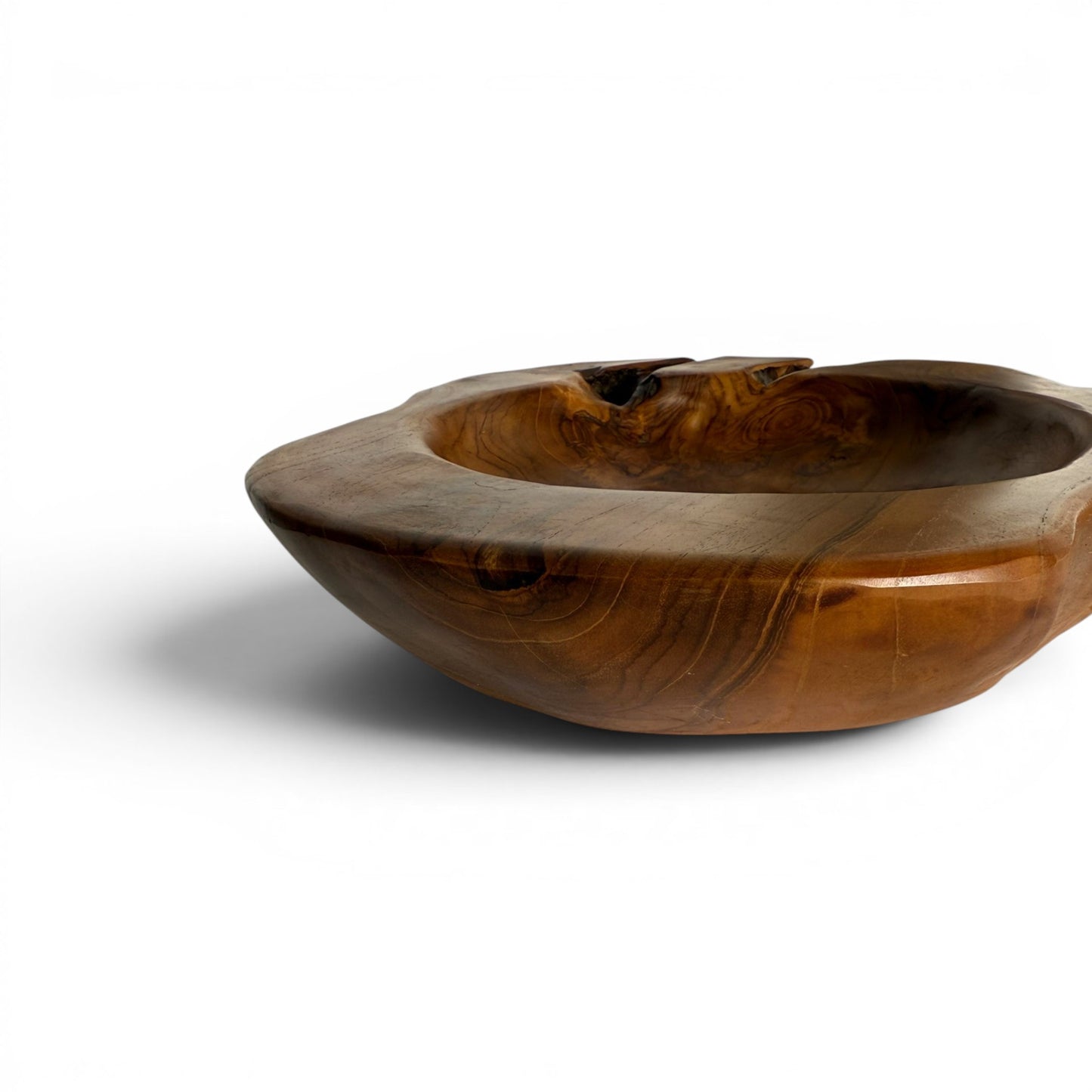 Teak Root Centerpiece