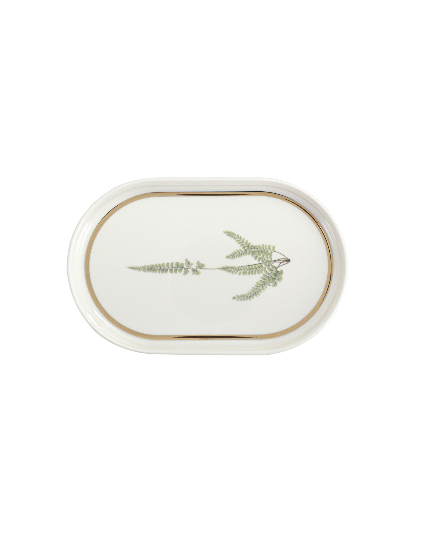 Botanical Oval Plate - Verdant Fern