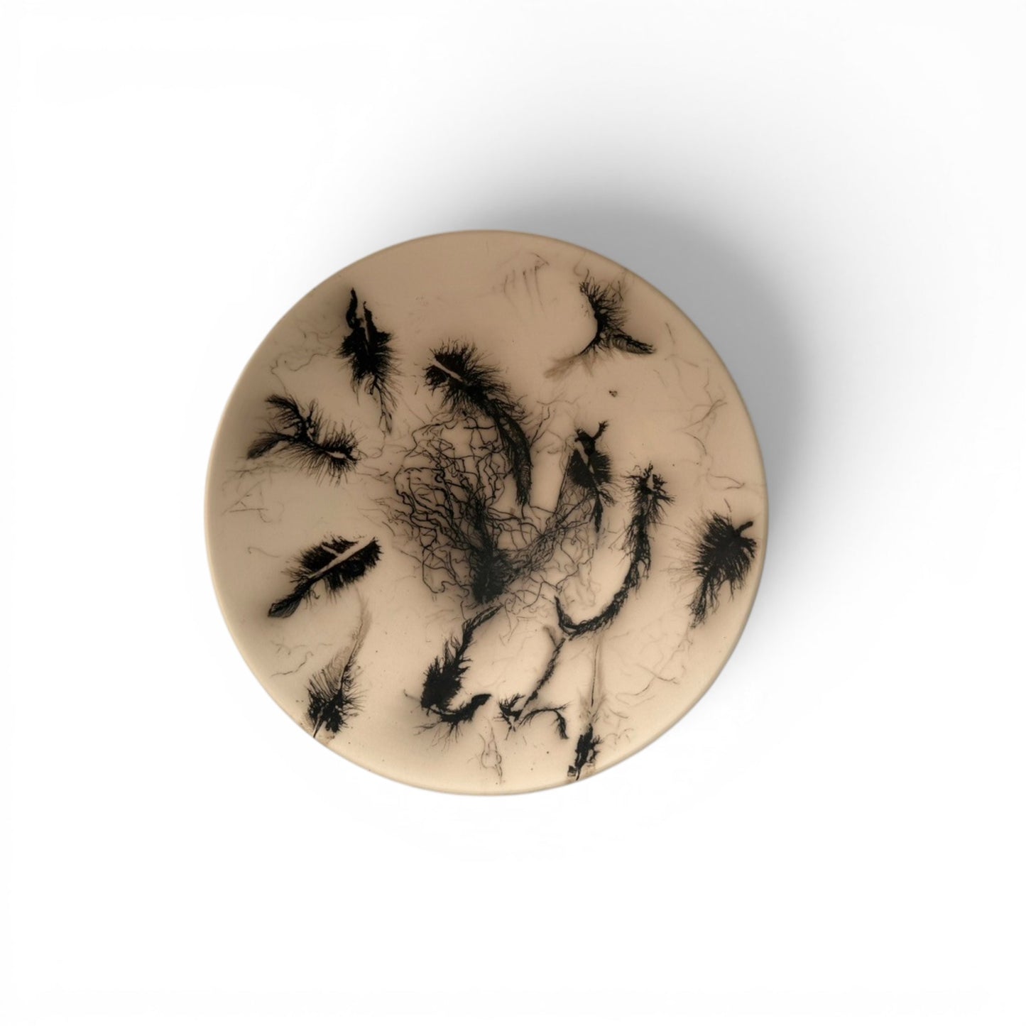 Raku Feather Bowl