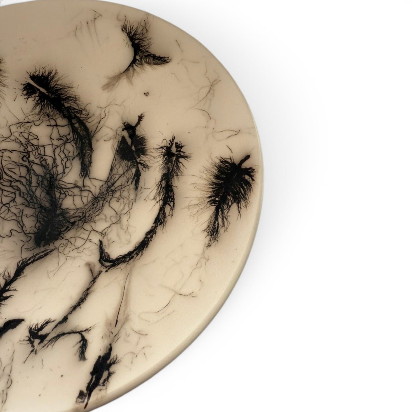 Raku Feather Bowl